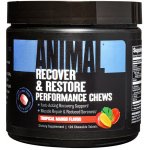 Universal Nutrition Animal Recovery Chews 120 tablet – Hledejceny.cz