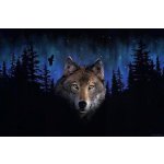 Gaira Malování podle čísel Vlk – Zboží Mobilmania