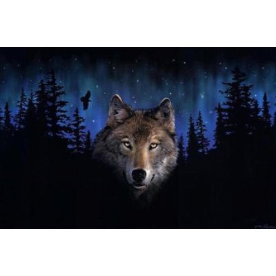 Gaira Malování podle čísel Vlk – Zboží Mobilmania