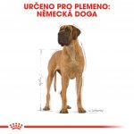 Royal Canin Great Dane Adult 12 kg – Sleviste.cz