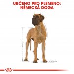 Royal Canin Great Dane Adult 12 kg – Hledejceny.cz