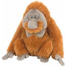 WILD Orangutan 30 cm