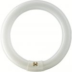 Philips Master TL-E 32W G10q Circular chladná bílá – Hledejceny.cz