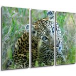 Obraz 3D třídílný - 105 x 70 cm - Leopard leopard leopards animální – Hledejceny.cz