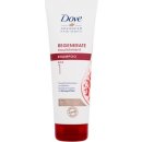 Dove šampon na poškozené vlasy Regenerate Nourishment Shampoo 250 ml