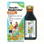 Salus Floradix Kindervital pro děti ovocný 250 ml – Hledejceny.cz