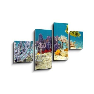 Obraz 4D čtyřdílný - 100 x 60 cm - Colorful underwater marine life seabed Barevné podvodní mořské dno mořského života – Zboží Mobilmania