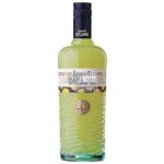 Molinari Limoncello di Capri 30% 0,7 l (holá láhev) – Hledejceny.cz