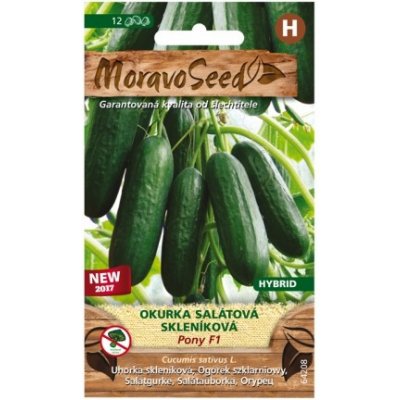 MoravoSeed CZ a.s. MoravoSeed Okurka salátová skleníková PONY F1