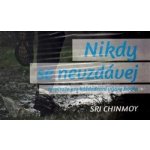 Nikdy se nevzdávej - Inspirace pro každodenní výzvy života – Hledejceny.cz