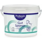 Protexin Gut Sponge pro koně 1,5 kg – Hledejceny.cz