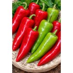 SEMO Paprika sladká Lydia 0,6 g – Zboží Dáma