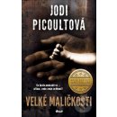 Velké maličkosti - Picoultová Jodi