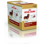 Royal Canin Adult Dashund 12 x 85 g – Zboží Mobilmania