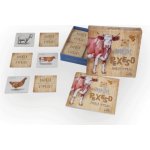 Lesní svět Zvukové pexeso Dvorek vypráví – Hledejceny.cz