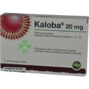 KALOBA 20 MG POTAHOVANÉ TABLETY POR TBL FLM 21