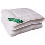 2G Lipov přikrývka Aloe Vera 500g 135x100 – Zboží Dáma