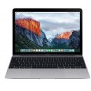 Apple MacBook MLH82CZ/A