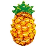 Bestway 43310 Ananas – Zboží Mobilmania