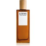 LOEWE toaletní voda pánská 50 ml – Hledejceny.cz