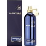 Montale Amber & Spices parfémovaná voda unisex 100 ml – Hledejceny.cz