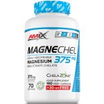 Amix Performance MagneChel Magnesium Chelate 210 kapslí – Hledejceny.cz