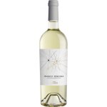 Fantini Vini Bianco Toscana Terre Natuzzi 12,5% 0,75 l (holá láhev) – Hledejceny.cz