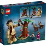 LEGO® Harry Potter™ 75967 Zapovězený les: Setkání Drápa a profesorky Umbridgeové – Hledejceny.cz