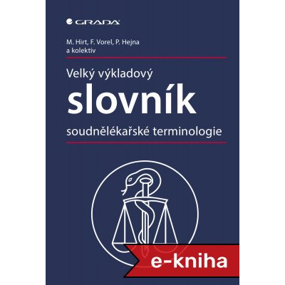 Velký výkladový slovník soudnělékařské terminologie - Miroslav Hirt, František Vorel, Petr Hejna, Kolektiv autorů