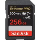 SanDisk SDXC UHS-I U3 256 GB SDSDXXD-256G-GN4IN