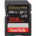 SanDisk SDXC UHS-I U3 256 GB SDSDXXD-256G-GN4IN – Zboží Mobilmania