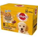 Pedigree Junior Multipack v želé Junior 4 Varianty 48 x 100 g – Hledejceny.cz