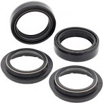 ALL BALLS sada olejových a prachových těsnění KTM SX50/65 12-15 – Hledejceny.cz