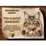 Cedulky-sporthobby 038 Cedulka Kočka Mainská mývalí Slovenština 20 x 15 cm – Zboží Mobilmania