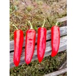 Semena Hungarian Hot Wax – Zboží Dáma