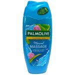 PALMOLIVE Thermal Spa Mineral Massage dámský sprchový gel s aloe a minerální solí 250 ml – Hledejceny.cz