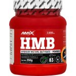 Amix HMB 250g – Hledejceny.cz