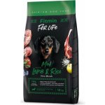 Fitmin Dog For Life Adult Mini Lamb & Rice 12 kg – Hledejceny.cz