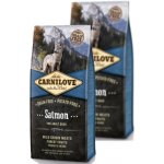 Carnilove Salmon for Adult Dogs 2 x 12 kg – Hledejceny.cz