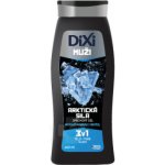 Dixi Men Arktická síla sprchový gel 3v1 400 ml – Hledejceny.cz