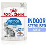 Royal Canin Indoor Sterilised v želé 24 x 85 g – Hledejceny.cz