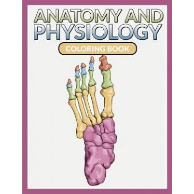 Anatomy And Physiology Coloring Book