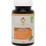 Maharishi Ayurveda Product Maharishi Ayurveda Triphala Plus 60 tablet BIO – Hledejceny.cz