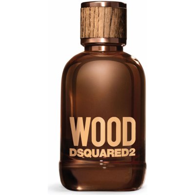 Dsquared2 Wood Potion toaletní voda pánská 100 ml tester – Hledejceny.cz