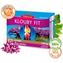 Terezia Company Klouby fit 60 kapslí