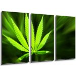 Obraz 3D třídílný - 90 x 50 cm - Marijuana background Marihuana pozadí