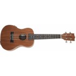 Tanglewood TWT 3 – Zbozi.Blesk.cz