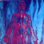 Nirvana - 7 Sliver LP – Hledejceny.cz
