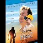 Hráč BD – Hledejceny.cz