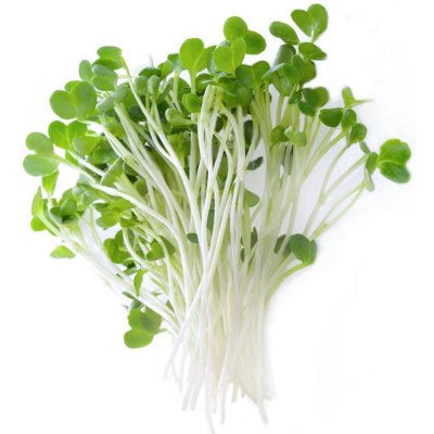 Brokolice – semínka na klíčení 10g – Zboží Mobilmania